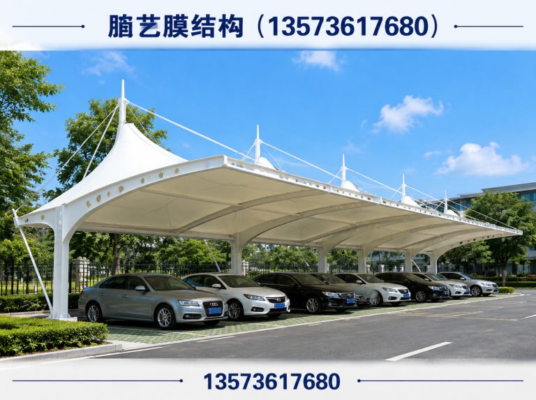 临朐县膜结构车棚展示图